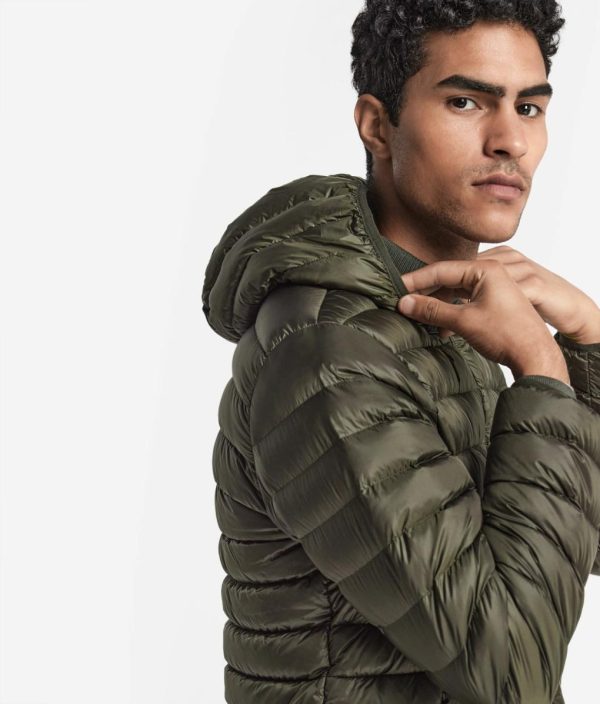 Taralawrence.shop6f90885372 4