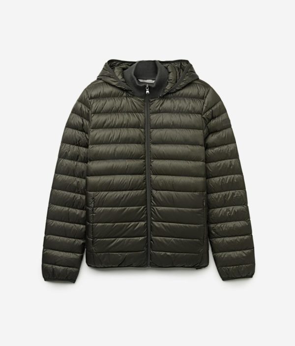 Taralawrence.shop6f90885372 5