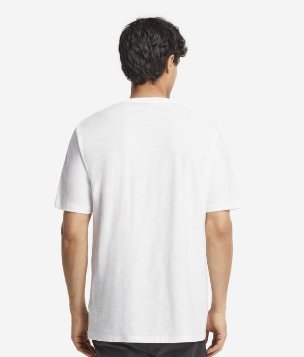 Taralawrence.shopd78aa61777 3